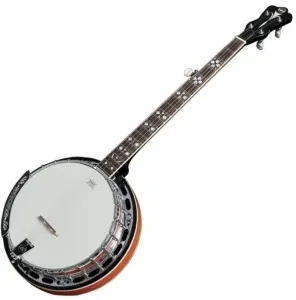 VGS 505036 Banjo Premium 5S Natural Banjo