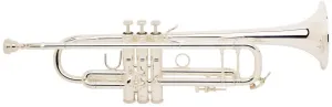 Vincent Bach LR180S-37G Stradivarius Trompeta Sib