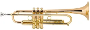 Vincent Bach LT190-1B Stradivarius Trompeta Sib