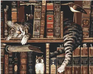 Zuty Painting by Numbers Cat In The Library #754176