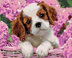 Zuty Painting by Numbers Puppy And Hydrangea #741032