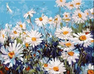 Zuty Painting by Numbers Daisies #48491