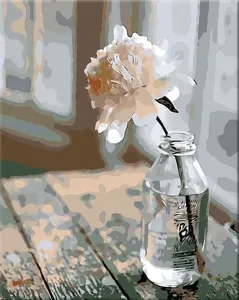 Zuty Painting by Numbers Flower In A Bottle Pintura por números
